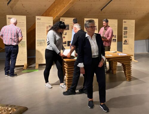 Neue Sonderausstellung „Wald und Holznutzung“ in der Umwelt Arena Schweiz Der Wald ist wichtig für uns alle
